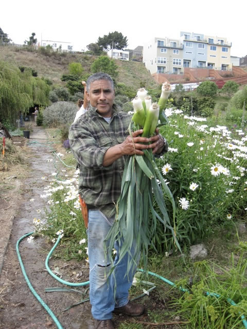 photo of a man on a farm holding leeks
