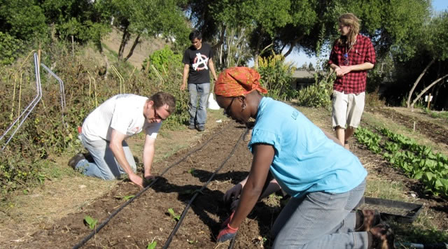 photo of people working on a farm